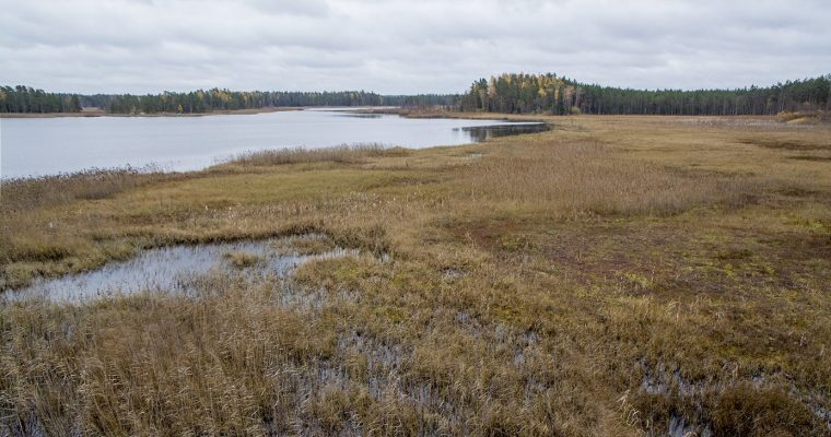 Koskeljärvi