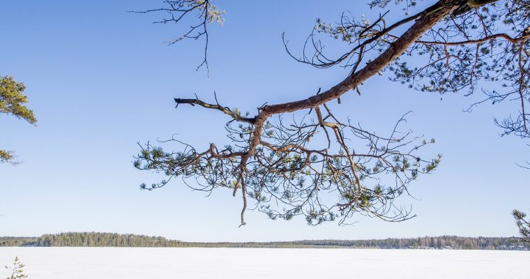 Savojärven talvikuvia